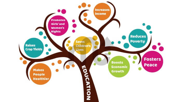 importance of education